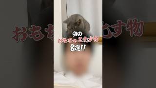 猫のおもちゃと化す物　#猫 #cat #猫好きさんと繋がりたい #ねこ #猫動画 #shorts