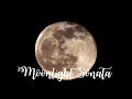 Moonlight Sonata -  Beethoven