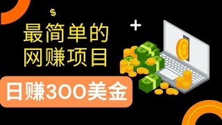 新手网赚，赚美金的网上赚钱项目！一天赚300美金，待在家里就可以赚美金，最简单的网赚方式！