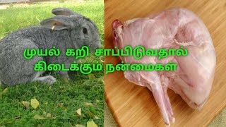 முயல் கறியின் நன்மைகள் Benefits of rabbit meat