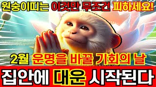 원숭이띠는 2월 이것만 무조건 피하세요! 운명을 바꿀 기회의 날! 집안에 대운 시작되고 복이 들어옵니다. '56년 68년 80년 92년 44년 04년생' 원숭이띠 운세