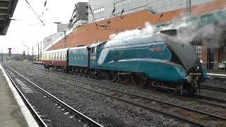 A4 No. 4464 'Bittern' \u0026 LMS No. 46233 'Duchess of Sutherland' - Doncaster - June 2014 \u0026 May 2015.