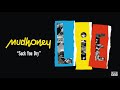 mudhoney suck you dry