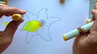 CCR The Yellow Copics Compared