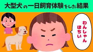 【2chほのぼの】大型犬の一日飼育体験をした結果【ほっこり絵本】