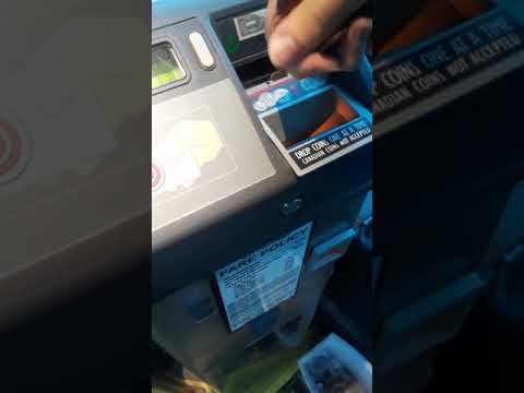 Guy pays for the bus in pennies #2018 B7 Funny moment's Guy pays for the bus in pennies #2018 B7 Funny moment's