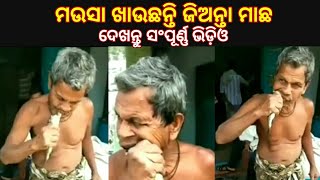 କଞ୍ଚା ମାଛ ଖାଇଲେ ମଉସା । Man vs wild | Odia News live updates #samparkodia