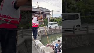 Yanagawa, Fukuoka, River Cruising!  Thug Life - The boat driver made a great jump #shorts