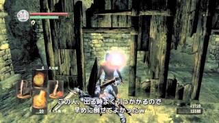 ダークソウルリマスター 竜のウロコ マラソン Dark Souls Remastered
