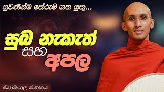 219. සුබ නැකැත් සහ අපල | මහා මංගල ජාතකය | 2024-01-01