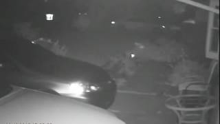Can you Identify the Vehicle Break-in Suspect in this Video?