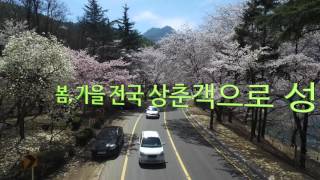 금오산의 경치 2탄(아름다운 금오산 저수지)