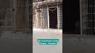 Shri Someshwara Swami Temple | Lalitha Someshwara Swami Temple - Somasila #shivatemple