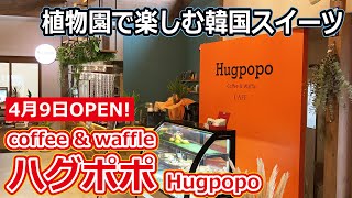 【福井のグルメ】 福井県越前市 万葉菊花園にできた韓国スイーツの店「ハグポポ」のクロッフルがウマすぎた！　hugpopo　スイーツ　韓国　福井　グルメ　テイクアウト