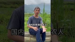 为啥这么重视老种子？