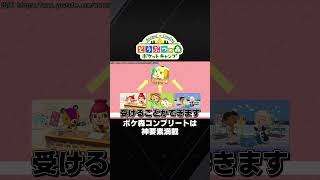 ポケ森コンプリートは神要素満載『どうぶつの森 ポケットキャンプ コンプリート』 #Shorts #ポケ森 #ポケ森コンプリート #どうぶつの森