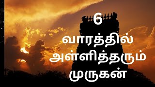 6 வாரத்தில் அதிசயம்