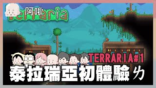 泰拉瑞亞初體驗！｜TERRARIA#1｜玩什麼鬼啦