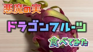 【悪魔の実ドラゴンフルーツ】ドラゴンフルーツ食べてみた