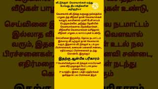 வீட்டுக்குள் வௌவால் வந்து போவது தீய சக்திகளின் அறிகுறிகளா 2023