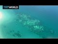 Insight: The Great Barrier Reef - Part II