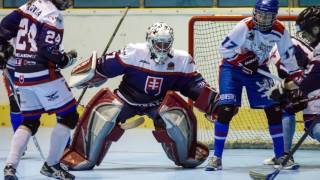 LOVOSICE/ LITOMĚŘICE: Hokejbalové MS WBHF v plném proudu (pozvánka)