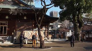 Setsubun Today Waik in Yushima Tenjin  今日は節分　湯島天神を歩く　2021/2/2  10