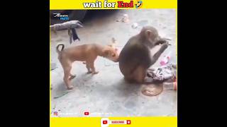 गजब हरकते🤣wait for end😂 #shorts #funny #shortsfeed #shortvideo #funnyshorts #trending #facts #viral