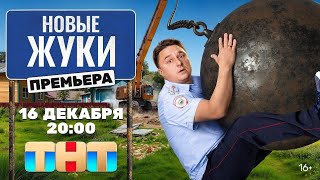 Новые жуки