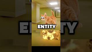 👁️🔑💀DONT GO NEAR THIS ENTITY!( cat entity)-Found Footage #shorts#backrooms