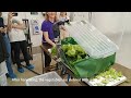 FoodE: Exploring vertical farm and urban agriculture facilities in Malmö and Stockholm 13