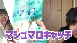 【三本勝負】マシュマロキャッチ