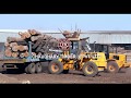 Chaudhary Timber (i) Pvt. Ltd.  | Company  Profile Video