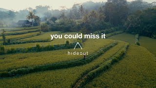 you could miss it / experiencing hideout cocoon