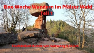 Wandern im Pfälzerwald die Teufelstisch Runde von Salzwoog