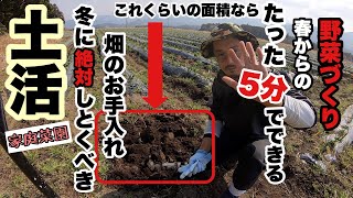 効果抜群すぎて超絶簡単にできる畑のリセット法・・冬の天地返し！【家庭菜園】