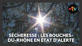 Sécheresse : les Bouches-du-Rhône en état d'alerte