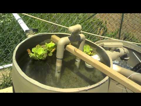 Diy sand/gravel pond filters Diy sand/gravel pond filters