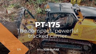 The FAE tracked carrier with forestry mulcher, stump cutter and dozer blade