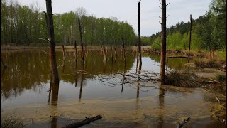 Ścieżka geoturystyczna  Dawna Kopalnia Babina