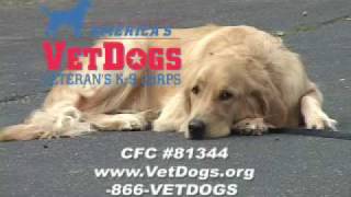 America's VetDogs CFC