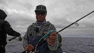 Big Tuna Dreams Season 4 Episode 6 - Insane Topwater Action Bluefin Tuna w/ @MillikenFishing