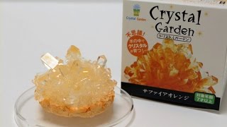 DIYクリスタル作成キット Crystal Garden DIY Crystal Making Kit