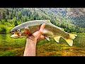 Mountain River Fishing for Big Rainbow Trout & Brown Trout w/ Spinners (Provo River)