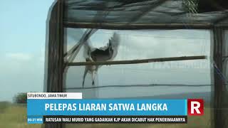 Pelepasliaran Satwa Langka | REDAKSI MALAM (15/07/20)