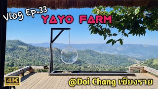 Vlog Ep.33 : Yayo Farm Doichang @Chiangrai