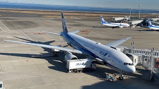 ANA B777-281ER JA742A towing at HND