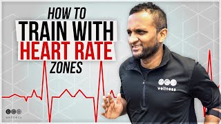 How To Train With Heart Rate Training Zone?