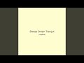 Breeze Dream Tranquil