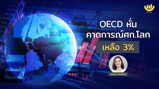 OECD หั่นคาดการณ์ศก.โลก เหลือ 3%